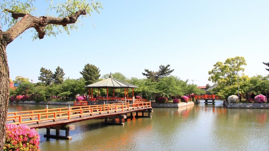 桑名城跡・九華公園 夏
