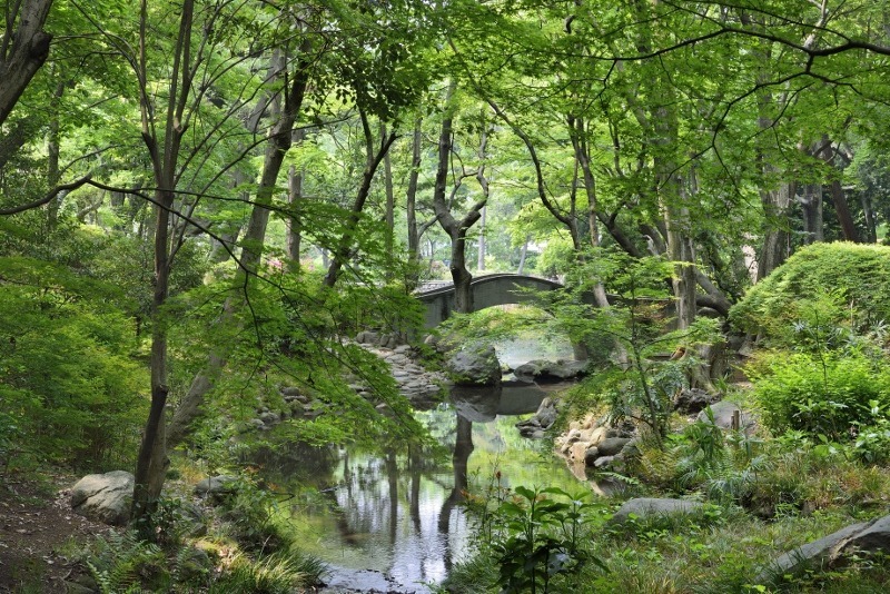 有栖川宮記念公園 　周辺観光　麻布十番