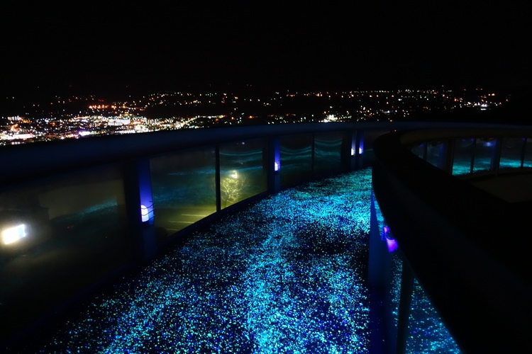 田原市　観光　蔵王山　高台　展望台　イルミネーション　穴場スポット　渥美半島花火大会