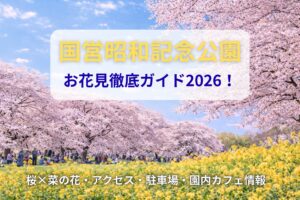 国営昭和記念公園の桜2026｜アクセス・駐車場・見頃・楽しみ方・混雑ガイド